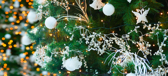 Similar image 11944471