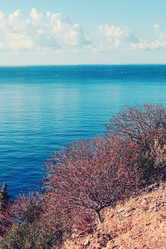 Similar image 11942573