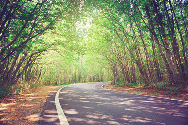 Similar image 11942582