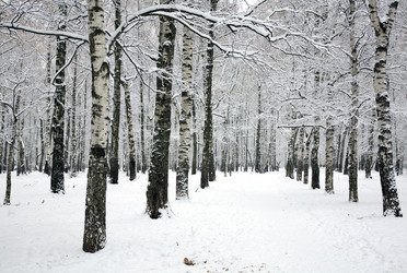 Similar image 11942498