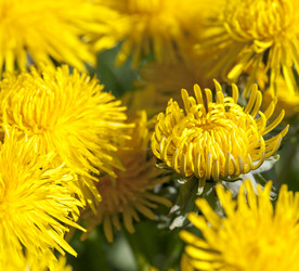 Similar image 11956334