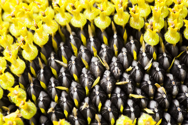 Similar image 11956354