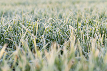 Similar image 11956374