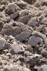 Similar image 11956375