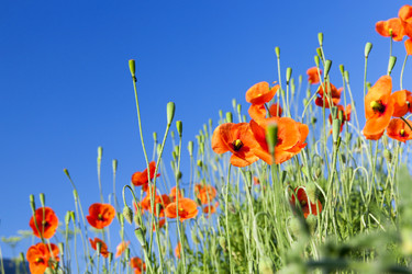 Similar image 11956368