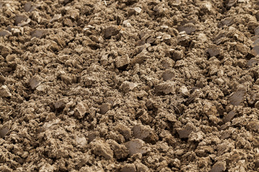 Similar image 11956383