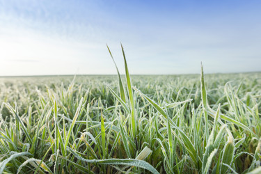 Similar image 11956384