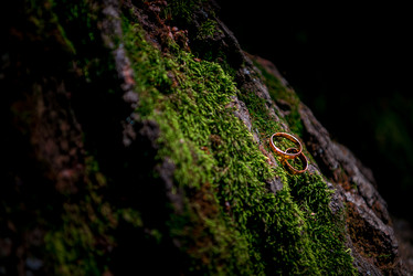 Similar image 11942533