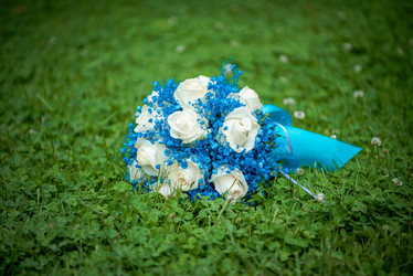 Similar image 11942534