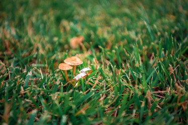 Similar image 11942535