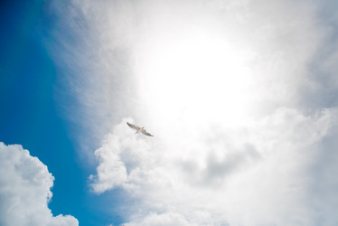 Similar image 11942538