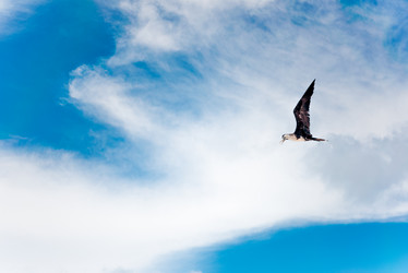 Similar image 11943248