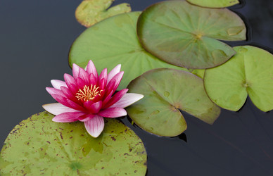 Similar image 11937595