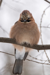 Similar image 11943249