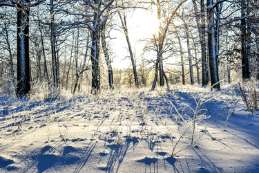 Similar image 11947878