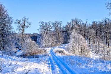 Similar image 11947880