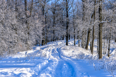 Similar image 11947881