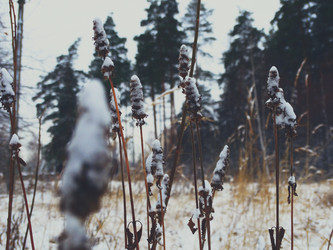 Similar image 11943258