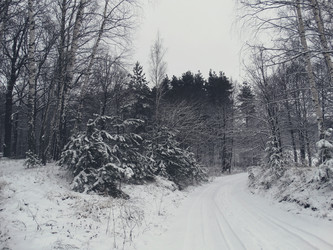 Similar image 11943259