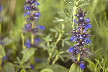 Similar image 11943260