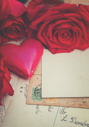 Similar image 11944429