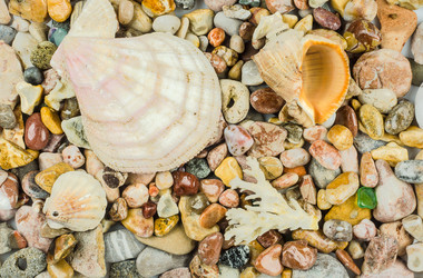 Similar image 11943438