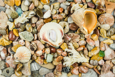 Similar image 11943439