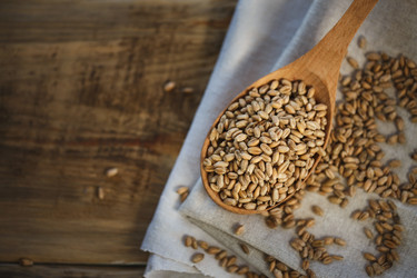 Similar image 11937909