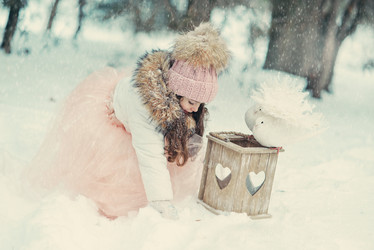 Similar image 11940237