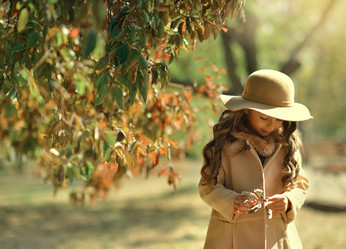 Similar image 11940242