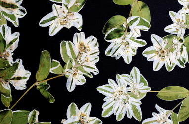 Similar image 11940381