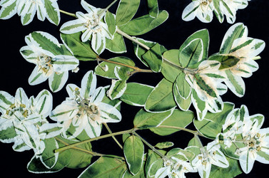 Similar image 11940386