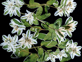 Similar image 11940387