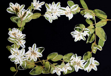 Similar image 11940388