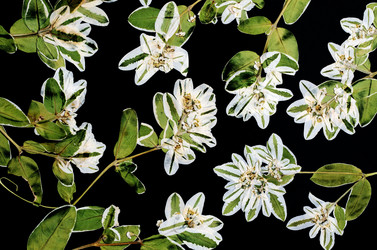 Similar image 11940389