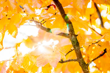 Similar image 11944950