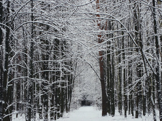 Similar image 11944936