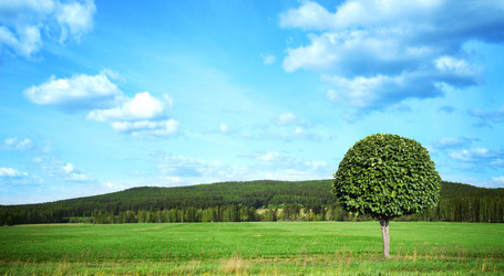 Similar image 11944988