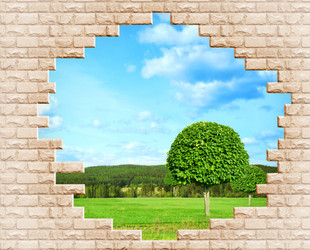 Similar image 11944989