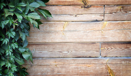 Similar image 11945004