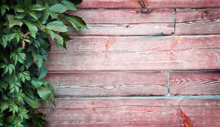 Similar image 11945005