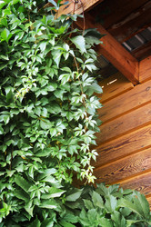 Similar image 11945007