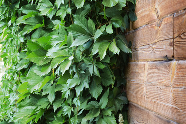 Similar image 11945009