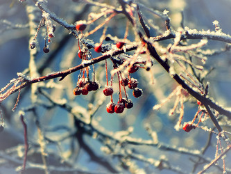 Similar image 11944938