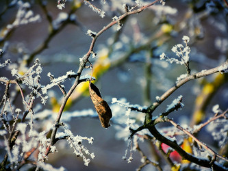 Similar image 11944939