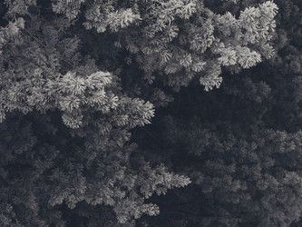 Similar image 11948043