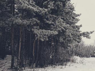 Similar image 11948044