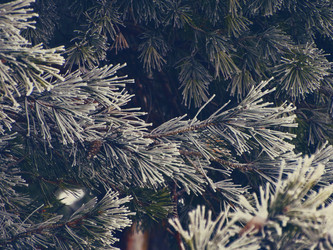 Similar image 11948045