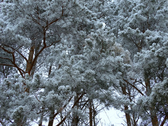 Similar image 11948047