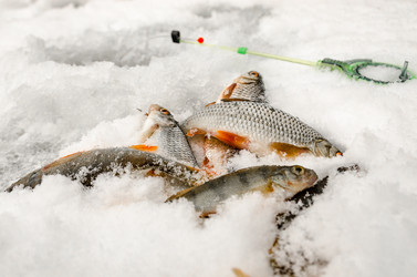 Similar image 11947917